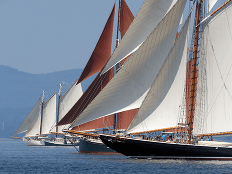 Schooners line up at the starting line for the 43rd Annual Great Schooner Race
